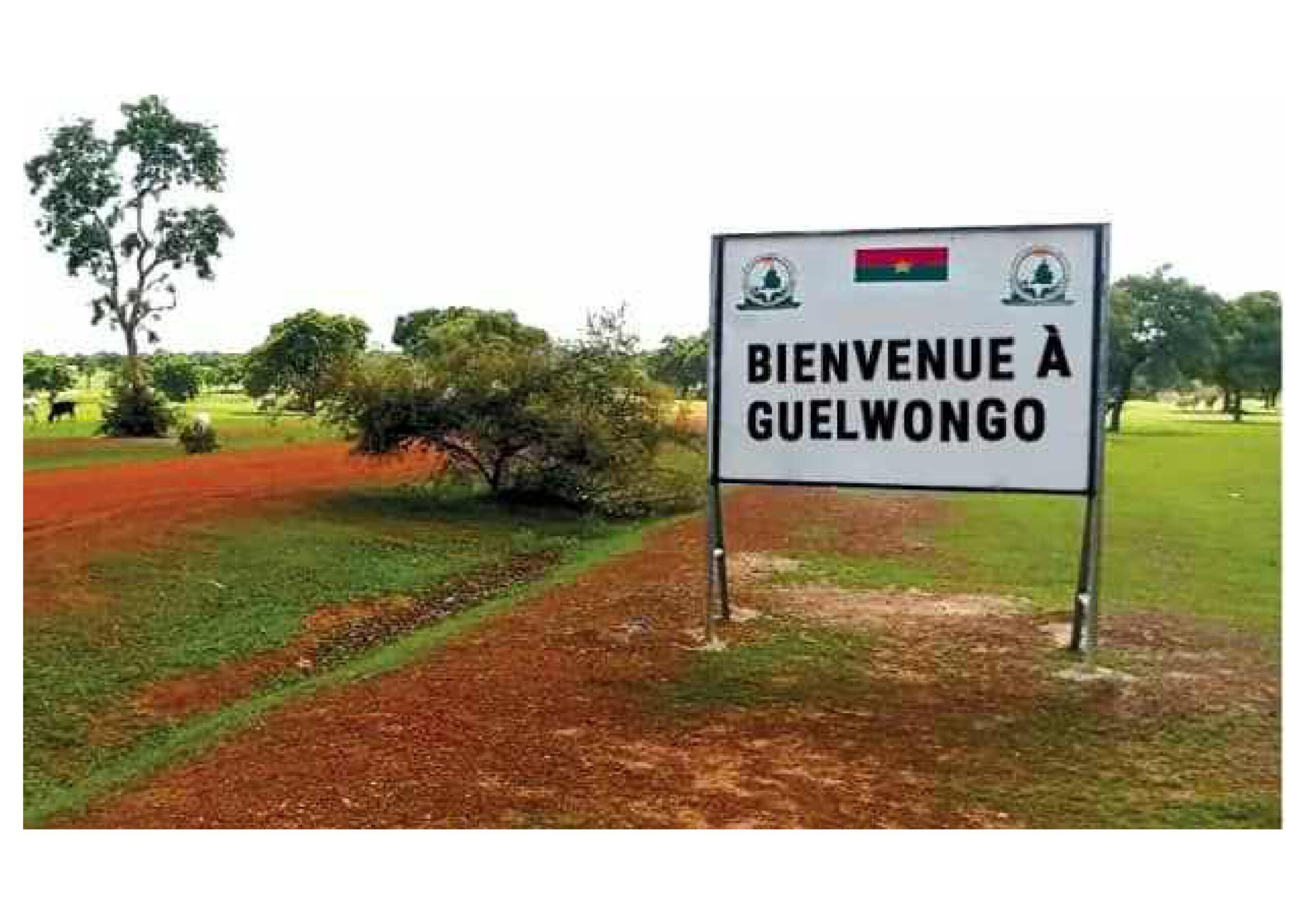 Offres Yamba Digital Hub Images 63 Scaled